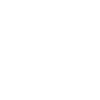 UDES 250